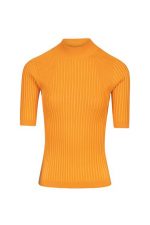 Packshot kortermet topp