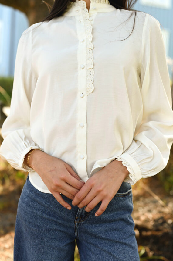 Olivie Shirt, Turtledove