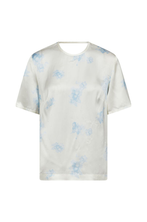 Robyn, Blå Mønstret