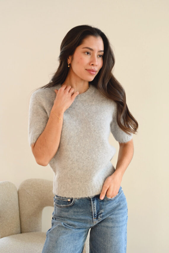 Sajeanne Top 15425, Light Grey Melange