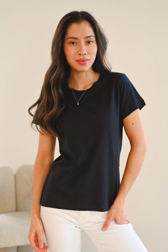 Solly Tee, Sky Captain