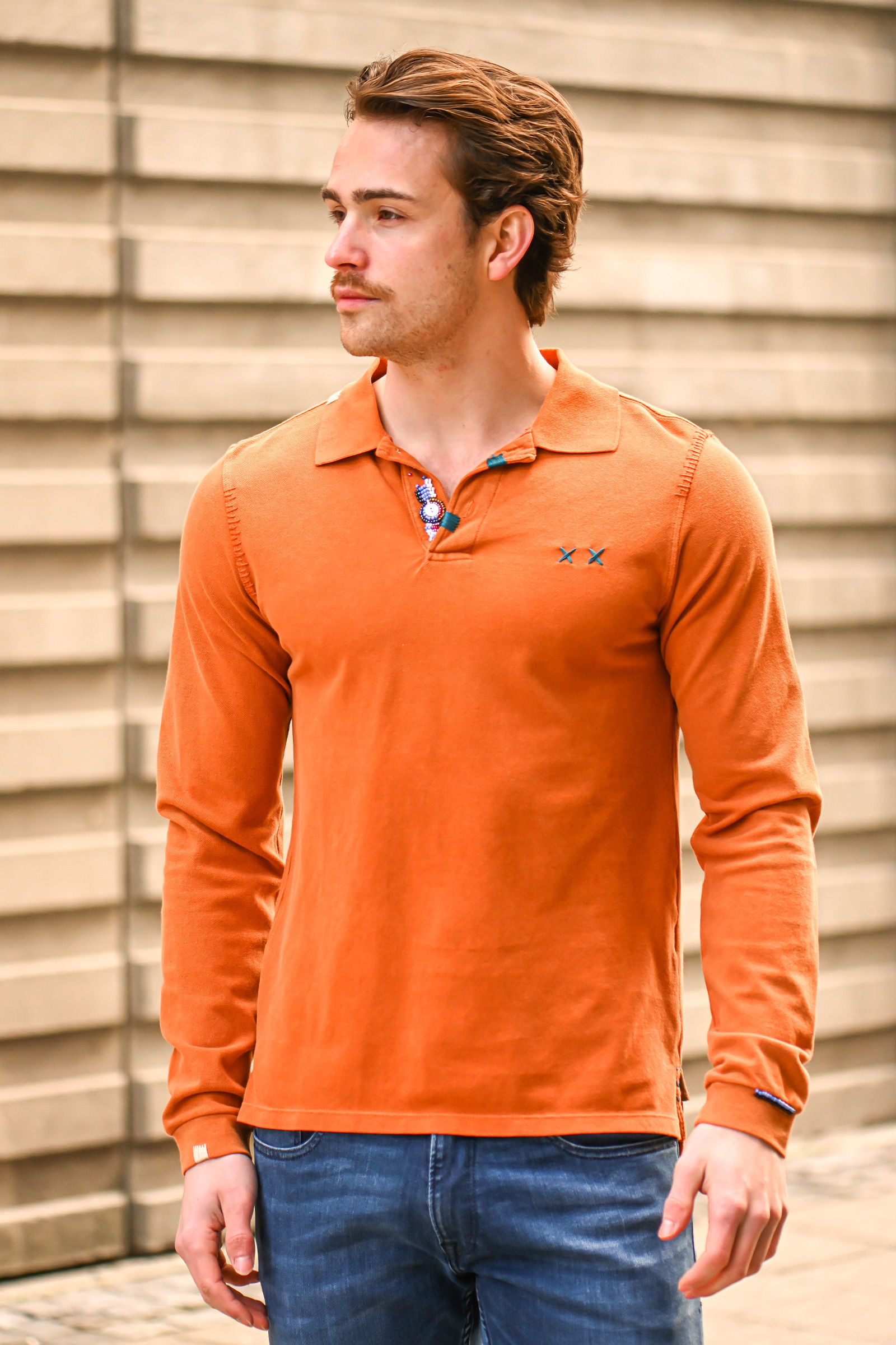 Gipsy LS Polo, Aragan - Bilde 2