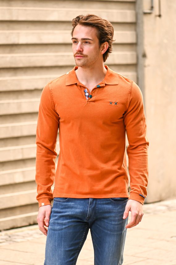 Gipsy LS Polo, Aragan